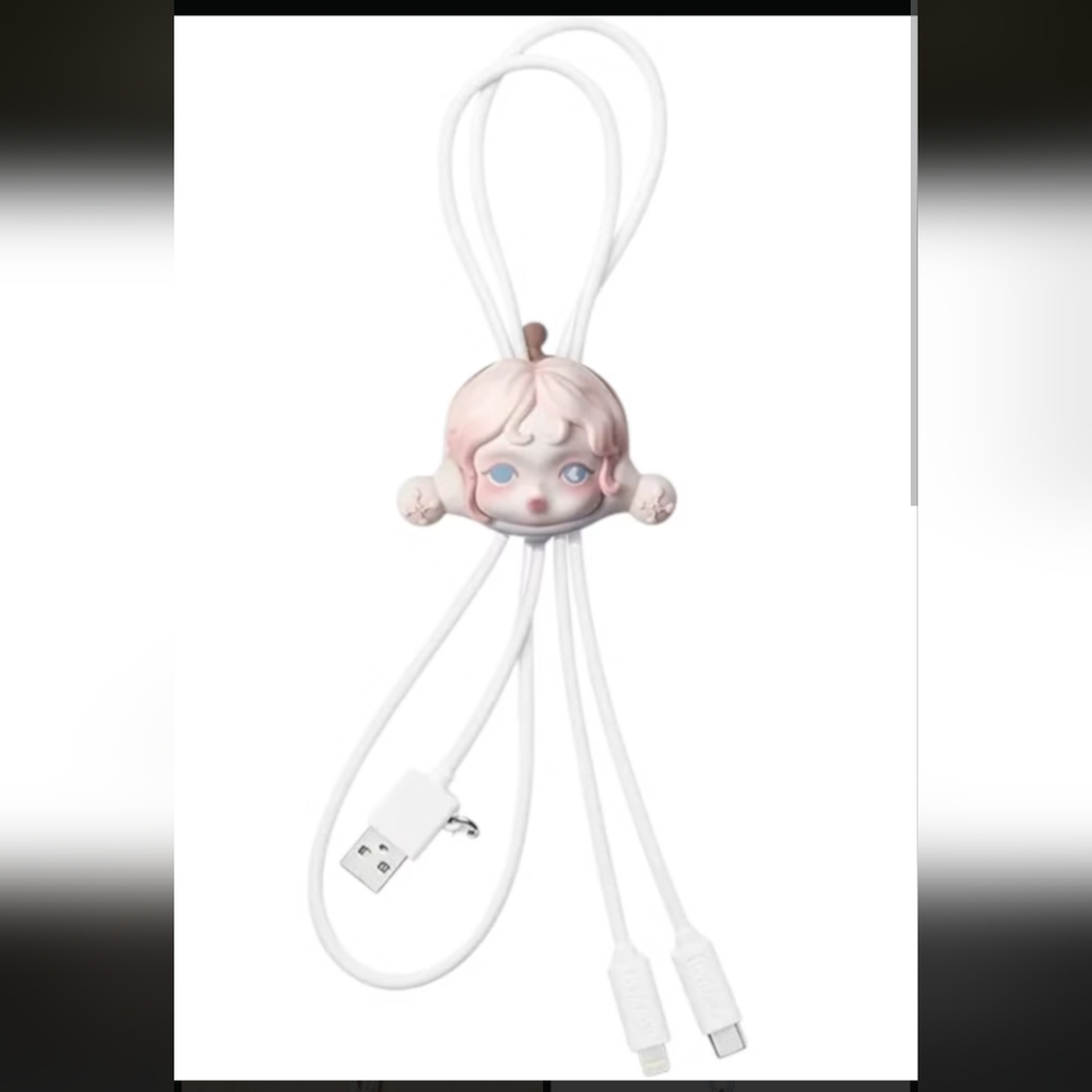 Secret Pop Mart Skullpanda Paradox Charging Cable "The Key" iPhone 15/16 & USB C